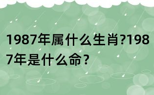 1987年屬什么生肖?1987年是什么命?