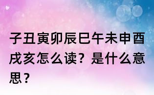 子丑寅卯辰巳午未申酉戌亥怎么讀？是什么意思？