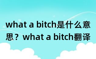 what a bitch是什么意思？what a bitch翻譯