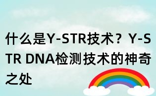 什么是Y-STR技術？Y-STR DNA檢測技術的神奇之處