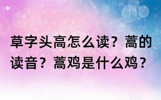 草字頭高怎么讀？蒿的讀音？蒿雞是什么雞？