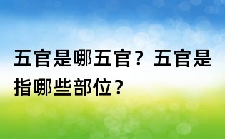 五官是哪五官？五官是指哪些部位？
