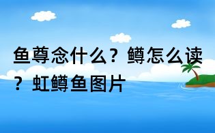 魚尊念什么？鱒怎么讀？虹鱒魚圖片