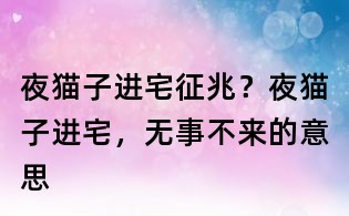 夜貓子進宅征兆?夜貓子進宅,無事不來的意思
