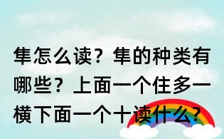 隼怎么讀？隼的種類有哪些？上面一個住多一橫,下面一個十讀什么?