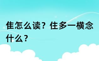 隹怎么讀？住多一橫念什么？