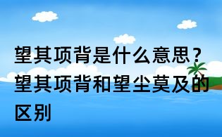 望其項背是什么意思?望其項背和望塵莫及的區別