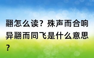 翮怎么讀？殊聲而合響異翮而同飛是什么意思？