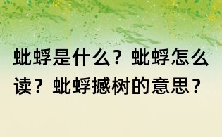 蚍蜉是什么?蚍蜉怎么讀?蚍蜉撼樹的意思?