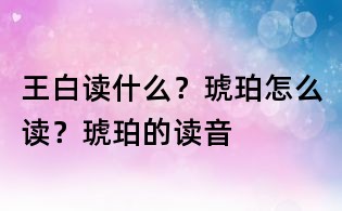 王白讀什么？琥珀怎么讀？琥珀的讀音