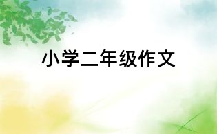 小學(xué)二年級作文