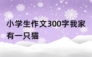 小學(xué)生作文300字:我家有一只貓