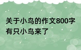 關于小鳥的作文800字：有只小鳥來了