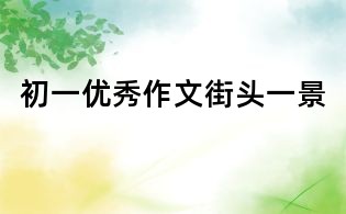 初一優秀作文：街頭一景