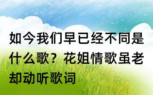 如今我們早已經不同是什么歌？花姐情歌雖老卻動聽歌詞